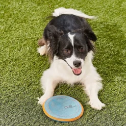 Chuckit! Paraflight Toy for Dogs