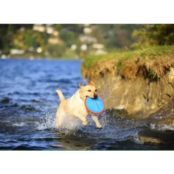Chuckit! Paraflight Toy for Dogs