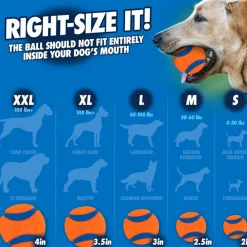 Chuckit! Sport Ball Launcher Toy For Dogs, color varies