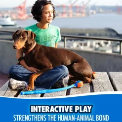 Chuckit! Sport Ball Launcher Toy For Dogs, color varies