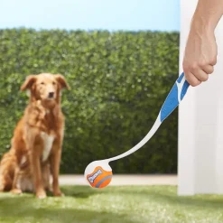 Chuckit! Sport Ball Launcher Toy For Dogs, color varies
