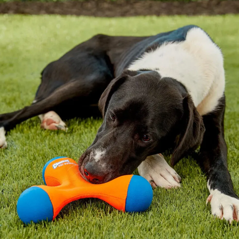 Chuckit! Tri-Bumper Toy For Dogs