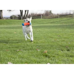 Chuckit! Tumble Bumper Toy For Dogs