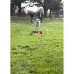 Chuckit! Tumble Bumper Toy For Dogs