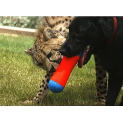 Chuckit! Tumble Bumper Toy For Dogs
