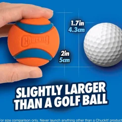 Chuckit! Ultra Ball Toy For Dogs