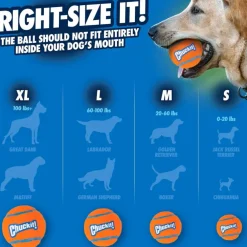 Chuckit! Ultra Ball Toy For Dogs