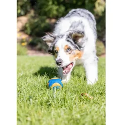 Chuckit! Ultra Squeaker Ball Toy For Dogs, Small (2 pack)
