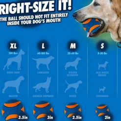 Chuckit! Ultra Squeaker Ball Toy For Dogs, Large