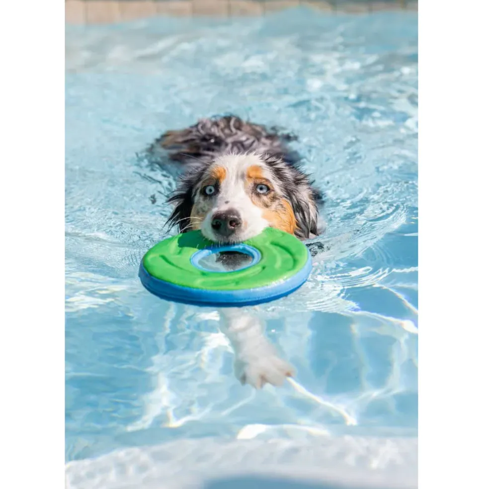 Chuckit! Zipflight Disc Toy For Dogs- Medium (color varies)