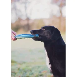 Chuckit! Zipflight Max Glow Toy For Dogs- Medium