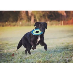 Chuckit! Zipflight Max Glow Toy For Dogs- Medium
