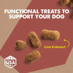 Cloud Star Dynamo Dog Tummy Soft Chews with Probiotic & Pumpkin, (14 oz)