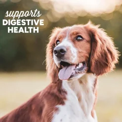 Cloud Star Dynamo Dog Tummy Soft Chews with Probiotic & Pumpkin, (14 oz)