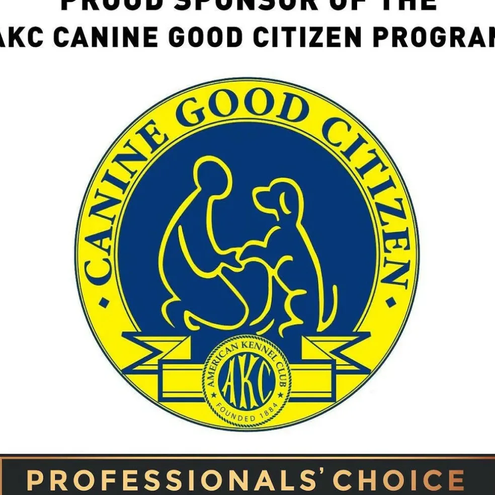 Cloud Star Tricky Trainers Crunchy Cheddar Dog Treats (8 oz)