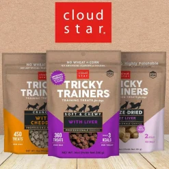 Cloud Star Tricky Trainers Soft & Chewy Salmon Dog Treats