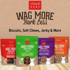 Cloud Star Wag More Bark Less Chicken, Charcoal, Parsley & Mint Dental Biscuits for Dogs (14 oz)