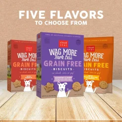Cloud Star Wag More Bark Less Grain-Free Pumpkin Crunchy Biscuits Treats For Dogs