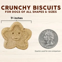 Cloud Star Wag More Bark Less Grain-Free Pumpkin Crunchy Biscuits Treats For Dogs