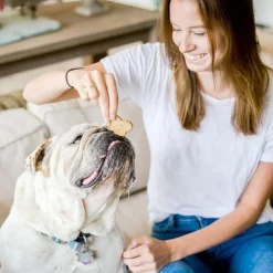 Cloud Star Wag More Bark Less Grain-Free Chicken & Sweet Potato Crunchy Dog Biscuits (14 oz)