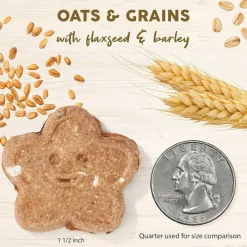 Cloud Star Wag More Bark Less Oats & Grains Peanut Butter Crunchy Dog Biscuits
