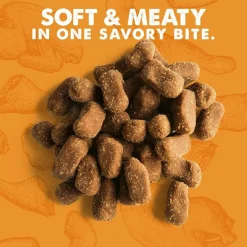 Cloud Star Wag More Bark Less Soft & Chewy Chicken Jerky Dog Treats (5 oz)