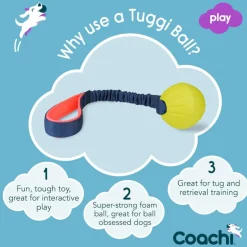 Coachi Tuggi Ball Dog Toy