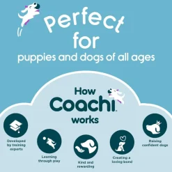 Coachi Tuggi Ball Dog Toy