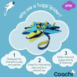 Coachi Tuggi Spider Dog Toy