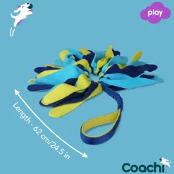 Coachi Tuggi Spider Dog Toy