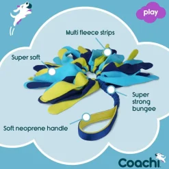 Coachi Tuggi Spider Dog Toy