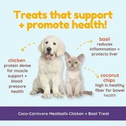 Cocotherapy Coco-Carnivore Meatballs Coconut Freeze Dried Dog Treats, 2.5-oz
