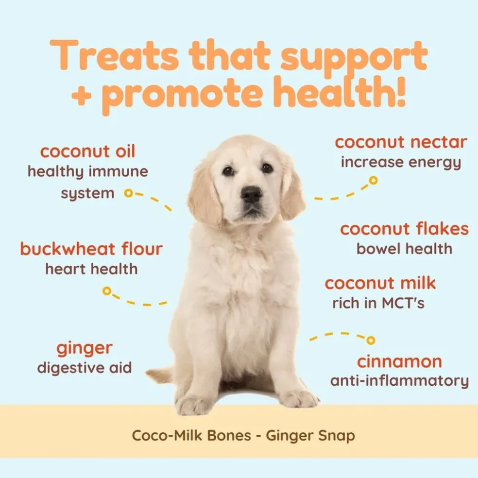 Cocotherapy Coco-Milk Bones Biscuit Organic Coconut Treat for Dogs, 6-oz