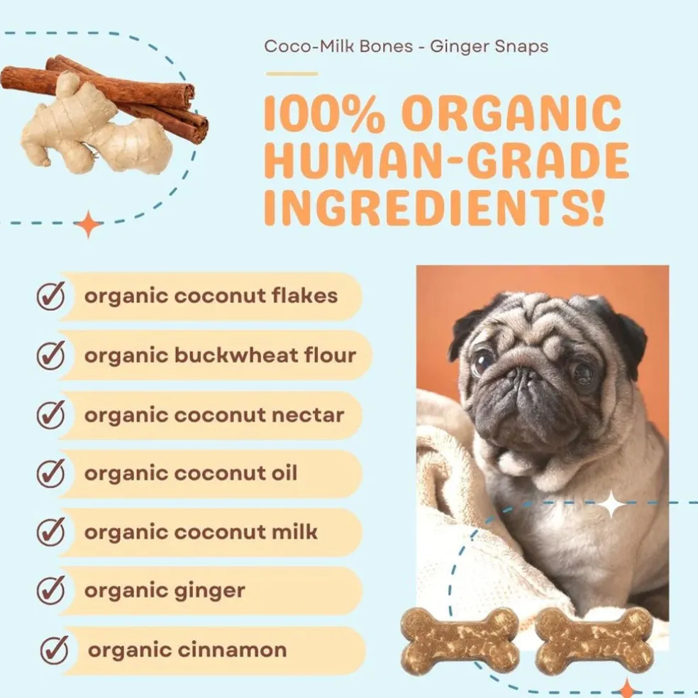 Cocotherapy Coco-Milk Bones Biscuit Organic Coconut Treat for Dogs, 6-oz