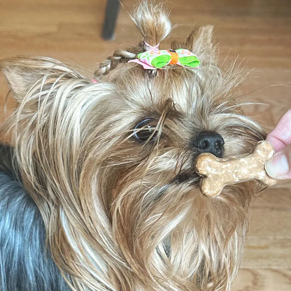 Cocotherapy Coco-Milk Bones Biscuit Organic Coconut Treat for Dogs, 6-oz