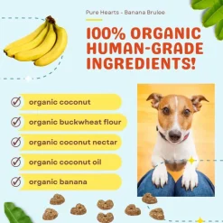 Cocotherapy Pure Hearts Coconut Cookies Organic Treats for Dogs, 5-oz