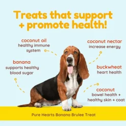 Cocotherapy Pure Hearts Coconut Cookies Organic Treats for Dogs, 5-oz