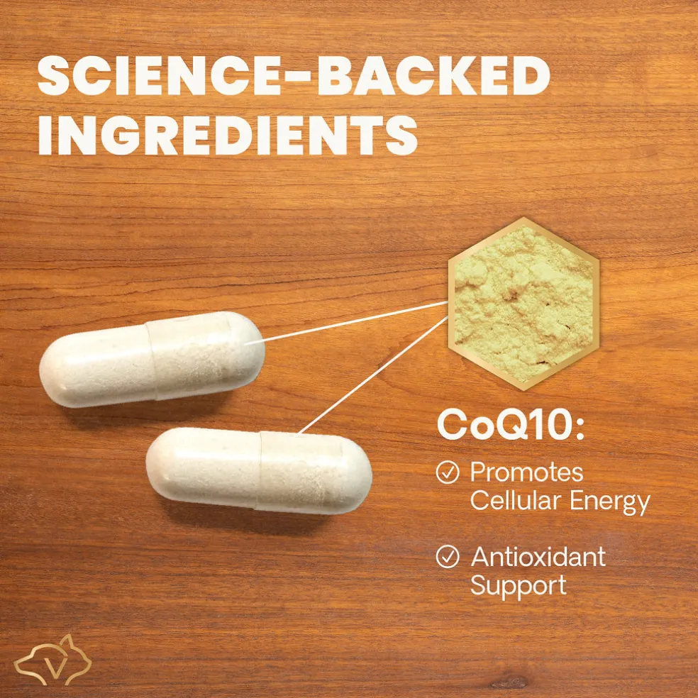CoQ10 Healthy Heart Capsules for Dogs and Cats