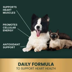 CoQ10 Healthy Heart Capsules for Dogs and Cats