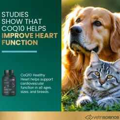 CoQ10 Healthy Heart Capsules for Dogs and Cats