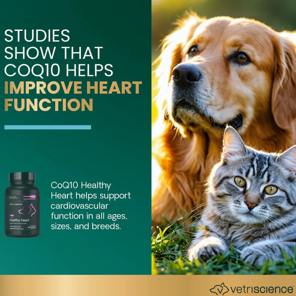 CoQ10 Healthy Heart Capsules for Dogs and Cats