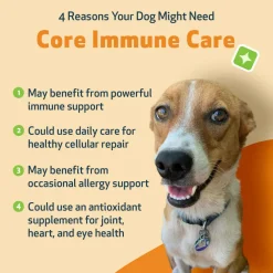 CORE IMMUNE CARE Daily Antioxidant and Nutritional Supplement for Dogs and Cats (3.7 oz)