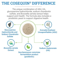 Cosequin ASU Functional Tablets (240 grams)