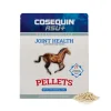 Cosequin ASU Plus HA Pellets (1050 grams)
