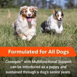 Cosequin Joint Health Supplement with Multifunctional Support (90 Soft Chews)