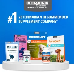 Cosequin Joint Health Supplement with Multifunctional Support (90 Soft Chews)