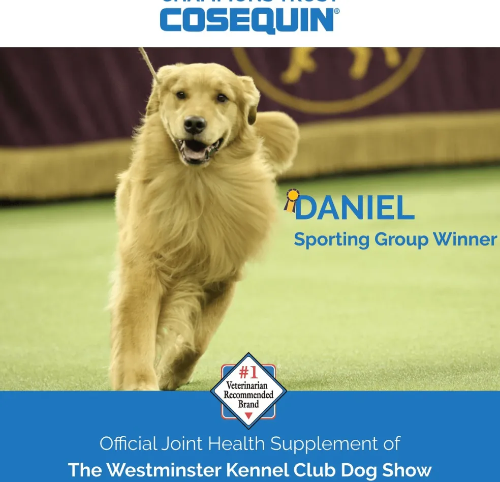 Cosequin® Maximum Strength With MSM PLUS Omega-3s