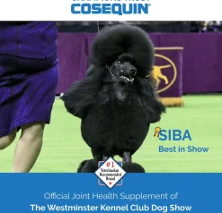 Cosequin® Maximum Strength With MSM PLUS Omega-3s