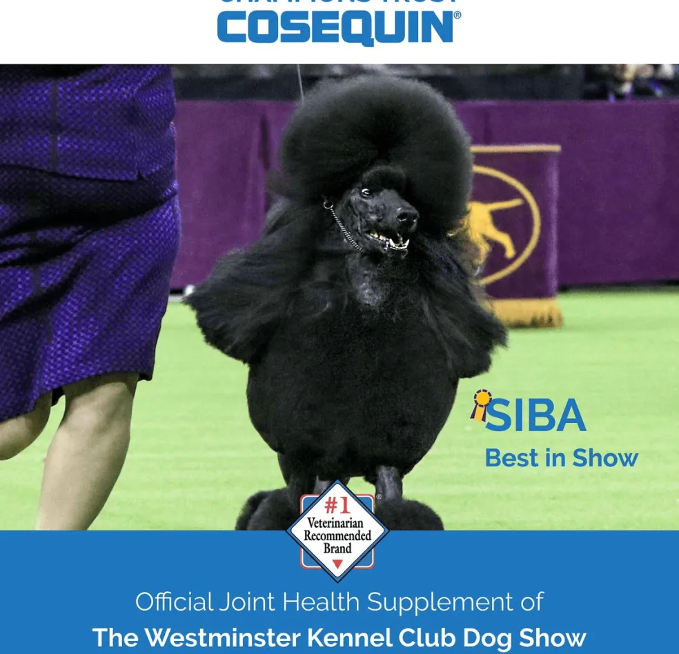 Cosequin® Maximum Strength With MSM PLUS Omega-3s