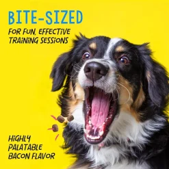 Crazy Dog Train-Me! Training Treats Bacon Flavor For Dogs (16 oz)